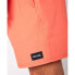 Фото #4 товара RIP CURL Daily Volley Swimming Shorts