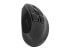 natec Euphonie - Right-hand - Vertical design - Optical - Bluetooth - 2400 DPI - Black