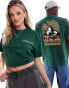 Napapijri Niu mountain backprint t-shirt in green