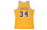 Баскетбольная жилетка Mitchell Ness NBA SW 34 N353J302-FGYA4OLAL