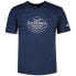 ფოტო #1 პროდუქტის NEW BALANCE Athletics Archive Graphic short sleeve T-shirt