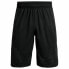 Men's Sports Shorts Under Armour Perimeter 28 cm Black