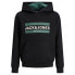 Фото #3 товара JACK & JONES Jorfriday sweatshirt