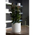 Фото #2 товара Горшок для цветов Plastiken Blumentopf mit Wasserreserve Hidrojardinera - 22 cm - Anthrazitgrau