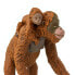 SAFARI LTD Orangutan With Baby Figure