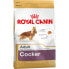Фото #1 товара Фураж для взрослых собак Royal Canin Cocker Adult 12 кг через рис и кукурузу