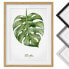 Фото #2 товара Bild Aquarell Botanik Monstera IV