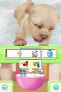 Фото #7 товара Игровая приставка Ubisoft Petz: Nursery для Nintendo DS