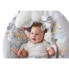 FISHER PRICE Sweet Snugapuppy Deluxe Bouncer