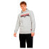 Фото #1 товара JACK & JONES Grafitti hoodie