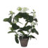 Kunstpflanze Stephanotis