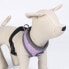 CERDA GROUP Disney Villanas Harness