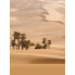 Фото #1 товара Fototapete Düne Wüste Landschaft