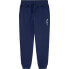 Фото #1 товара PEPE JEANS New Lamonty sweat pants