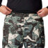 Фото #4 товара COLUMBIA Bugaboo™ IV Pants