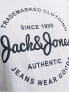 Фото #6 товара Футболка Jack & Jones Standard Fit WhiteZenith