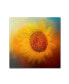 Фото #1 товара Jai Johnson 'Sunflower Surprise' Canvas Art - 14" x 14" x 2"