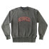 DC SHOES Varsity Pigment sweatshirt