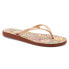 ფოტო #6 პროდუქტის Roxy Bermuda Print Flip Flops