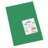 Фото #1 товара Картонная бумага Iris Темно-зеленый
