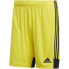 Фото #1 товара Adidas Tastigo 19 Shorts M DP3249 shorts