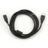 Фото #2 товара Gembird Cablexpert CCFB-USB2-AMBM-1.5M - 1.5 m - USB type-A - USB Type-B - Male/Male - Black - China