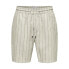 ONLY & SONS Tel Stripe 0139 shorts