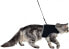 Фото #2 товара Шлейка для кошки мягкая TRIXIE X-Cat