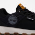 TIMBERLAND Winsor Trail Low Leather hiking shoes