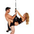 Pleasure Swing