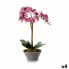 Декоративное растение Орхидея 16 x 48 x 28 cm Пластик (4 штук)