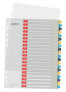 Esselte Leitz 12490000 - Numeric tab index - Polypropylene (PP) - Portrait - A4 Maxi - 245 mm - 30.5 cm