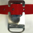 Фото #3 товара EPSEALON Reel Belt Support