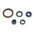 ATHENA P400220400255 Engine Oil Seal