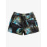 Фото #4 товара QUIKSILVER Mix Stripe 15 Swimming Shorts