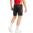 Фото #2 товара Adidas Tiro 24 Competition Training M shorts IR5484