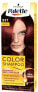 Фото #1 товара Шампунь для окрашенных волос Palette Color Shampoo махагон номер 217