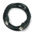 Фото #2 товара USB Cable A-A - 3 m