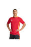 Футболка Adidas TIRO24 Jersey IS1658