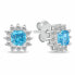 Sparkling silver earrings with zircons EA1051WAQ