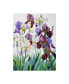 Christopher Ryland White and Purple Irises Canvas Art - 15" x 20"