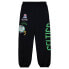 Фото #1 товара Mitchell & Ness B Celtic Champ City Graphic Joggers Mens Size S Casual Athletic