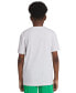 ფოტო #6 პროდუქტის Big Boys Short Sleeves Graphic T-shirt