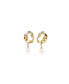 ფოტო #1 პროდუქტის ROMA EARRINGS