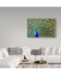 Фото #3 товара Galloimages Online 'Peacock Proud' Canvas Art - 24" x 16"