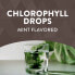 Chlorofresh, Chlorophyll Drops, Mint, 2 fl oz (59 ml)