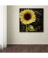 Фото #3 товара Color Bakery 'Sunflower Salon I' Canvas Art - 14" x 14"