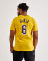 [DR6380-728] Mens Nike LEBRON JAMES LA LAKERS T-SHIRT