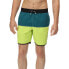 REGATTA Benicio Swimming Shorts