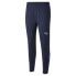 Puma Figc Training Pants Mens Blue Casual Athletic Bottoms 76708904